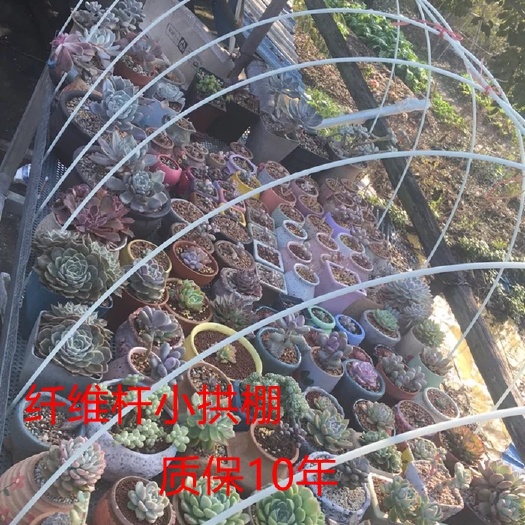 小拱棚杆 小拱棚玻璃纤维架杆  玻璃纤维杆