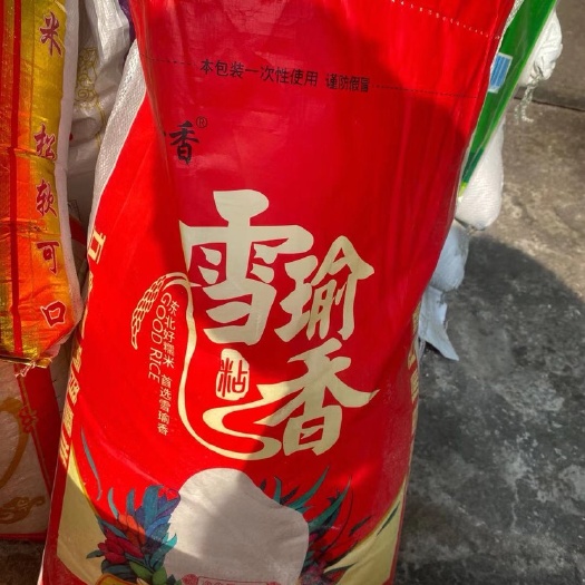 长沙 厂家直销 圆糯米 颗粒大