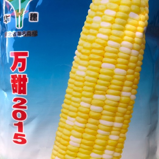 河北华穗万甜2015双色甜玉米种子