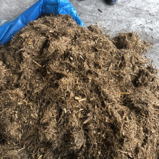 黔西市玉米秸秆  微贮草料，色泽金黄、适口性好、微生物发酵营养丰富、养殖的好帮