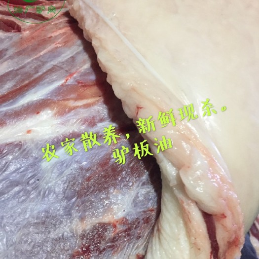 现杀生驴马油驴油新鲜驴马板油散养真空山东特产驴板油驴肉火烧专