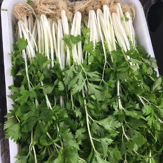 重庆市白芹 