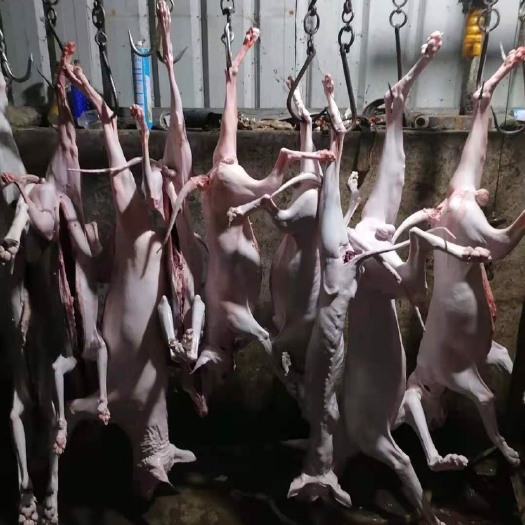 菏泽羊肉类  香肉gou肉肠肚.gougou