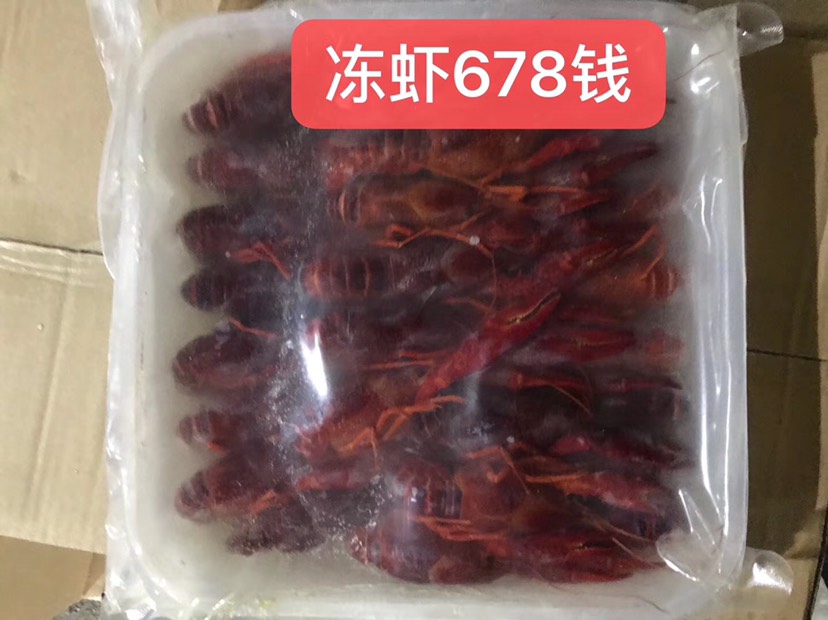 潜江速冻冷冻整肢小龙虾原味鲜活冰冻青红清水虾冻虾各种规格批发