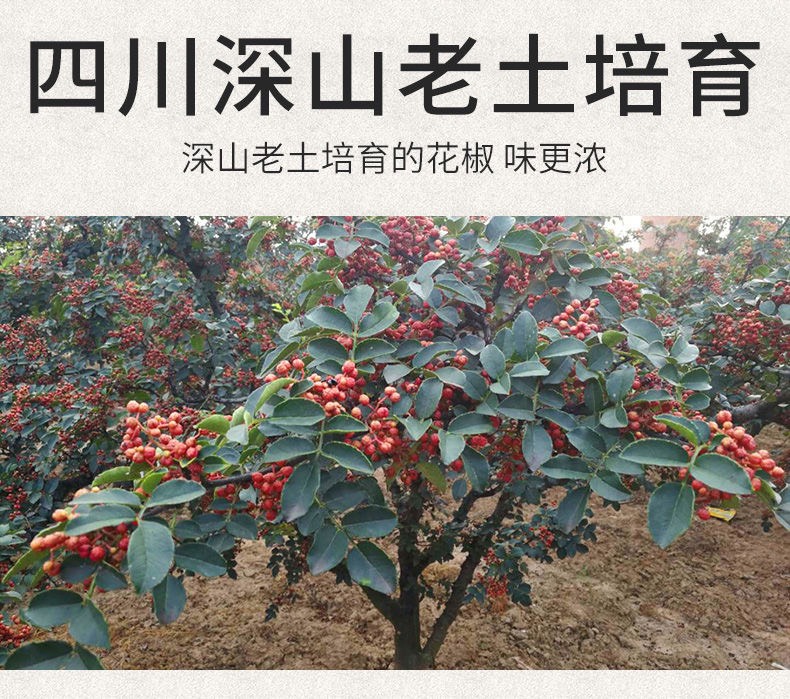 四川特产花椒粒500g大红袍花椒红麻椒大料批发调料包邮