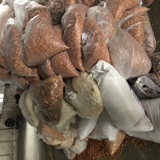 泰州饼干类  饼干不合格产品
