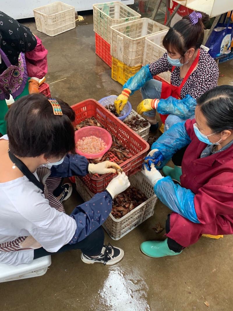 鲜虾仁 鲜拨现剥小龙虾虾仁纯虾肉去壳新鲜当天现剥现发盖浇饭炒虾仁食材