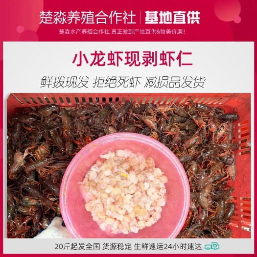 鲜虾仁 鲜拨现剥小龙虾虾仁纯虾肉去壳新鲜当天现剥现发盖浇饭炒虾仁食材