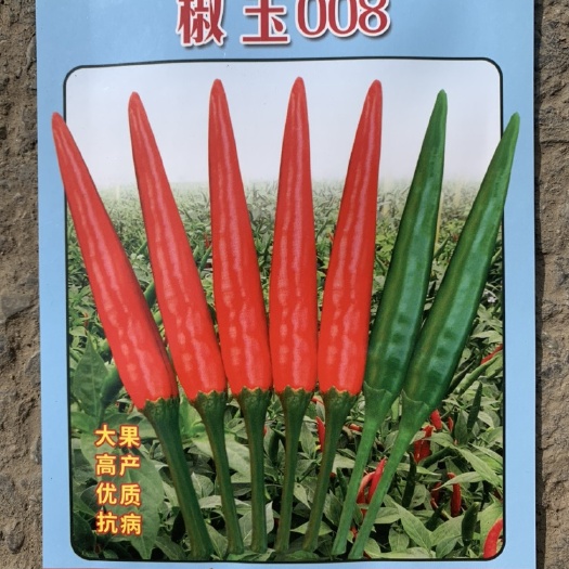 菏泽艳红辣椒种子  辣椒种子批发