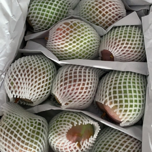 凭祥市 越南澳芒