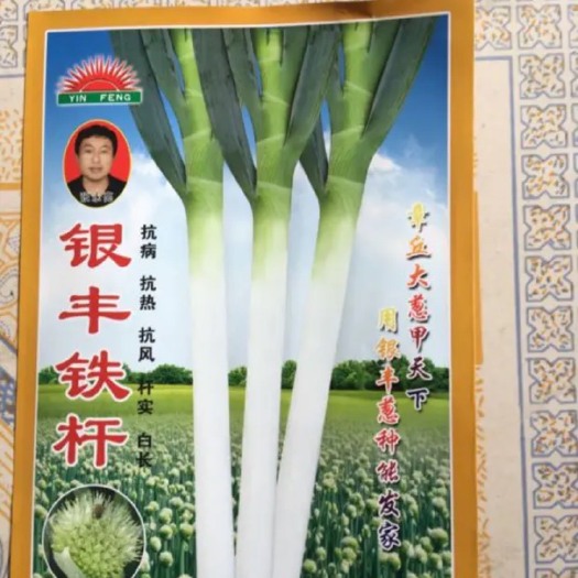 济南章丘大葱种子  章丘精品葱种