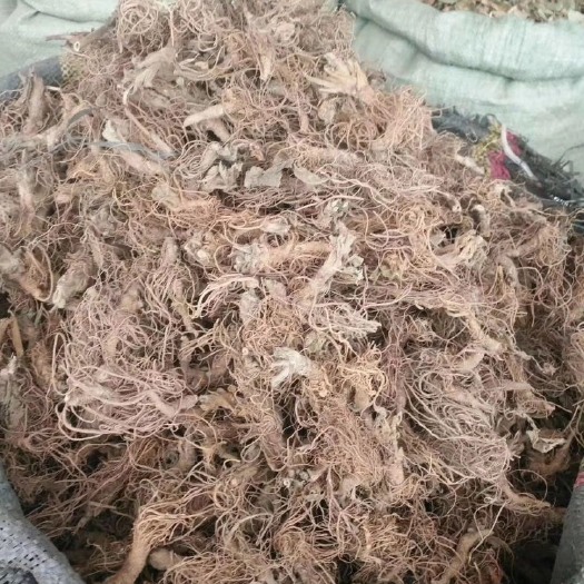 玉林地胆草地胆头、两斤起发货、支持线上交易、量大从优