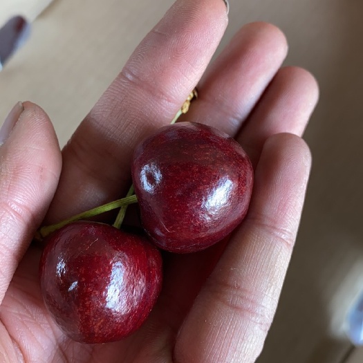 昆明美国车厘子 市场货 