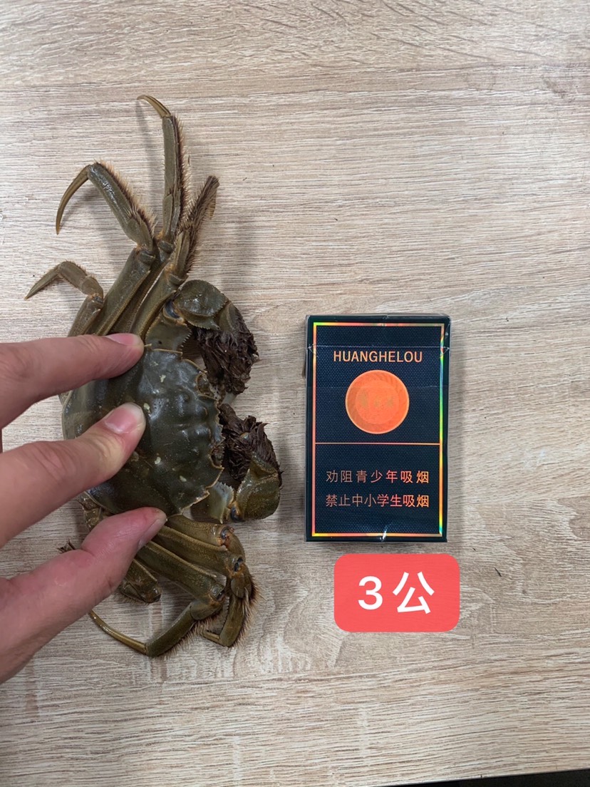 鲜活新鲜六月黄大闸蟹清水养殖螃蟹毛蟹大小蟹各种规格公蟹母蟹批