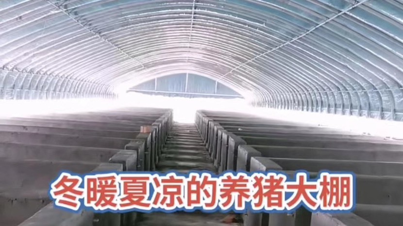 徐州连栋温室大棚  蔬菜大棚养殖大棚