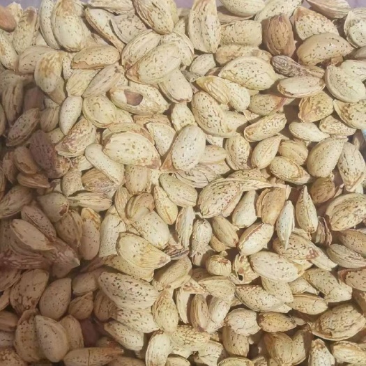 成都 巴旦木现货供应￼