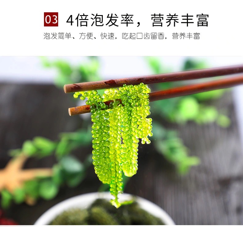 盐渍海葡萄100g新鲜活即食长寿菜海藻菜海菜裙带菜寿司绿色鱼