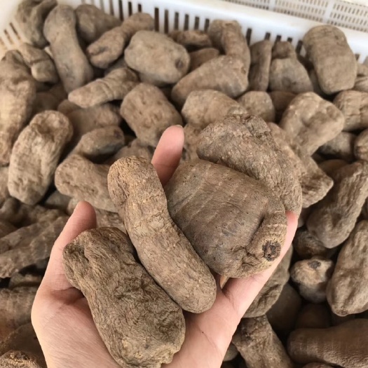 乌天麻正品昭通无硫小草坝乌天麻