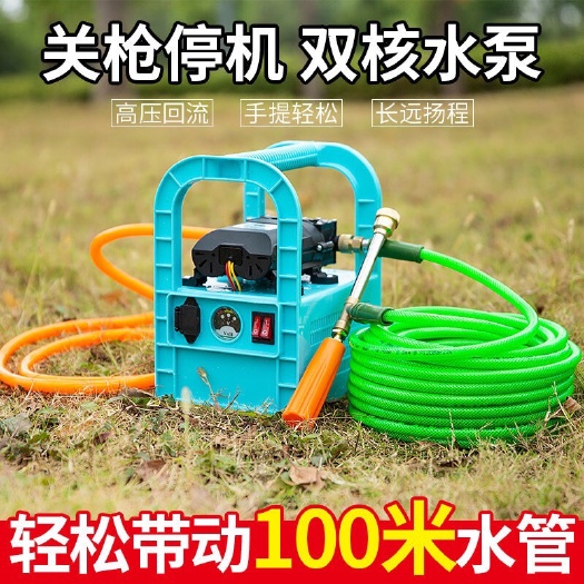 手提式电动喷雾器农用多功能打药机浇菜洗车消毒高压抽水果树双泵