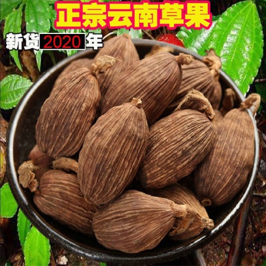 洱源县正宗云南草果 草果颗粒  草果  草果粉 农家无硫草果卤肉炖