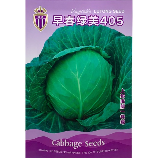 邯郸早春绿美405 绿甘蓝种子 菜园 基地绿甘种子10克装 耐