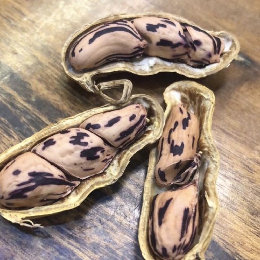 昆明云南七彩花生 颗粒饱满 颜色好 挑选货