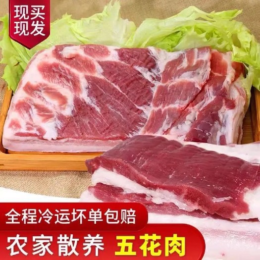 南京国产带皮五花肉猪肉散养土猪肉新鲜现杀三线精五花肉三层肉