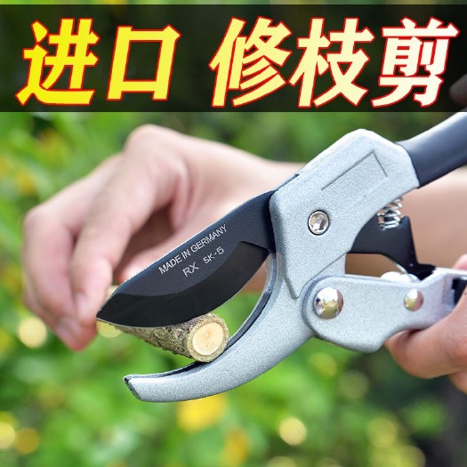 海盐县园林剪刀  树粗枝剪刀修枝剪刀园林花花艺剪园艺剪刀修花工具花剪果树枝剪刀