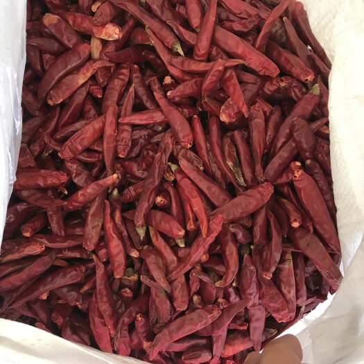 无极县朝天椒 合作社自产自然晒干辣椒