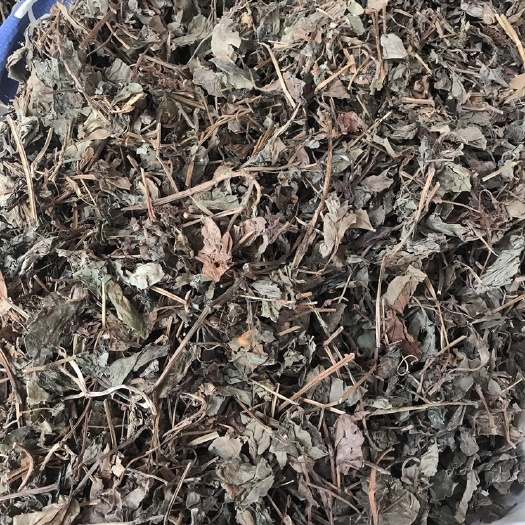 玉林鱼腥草  切断 扎巴两种规格 需要可以线上下单