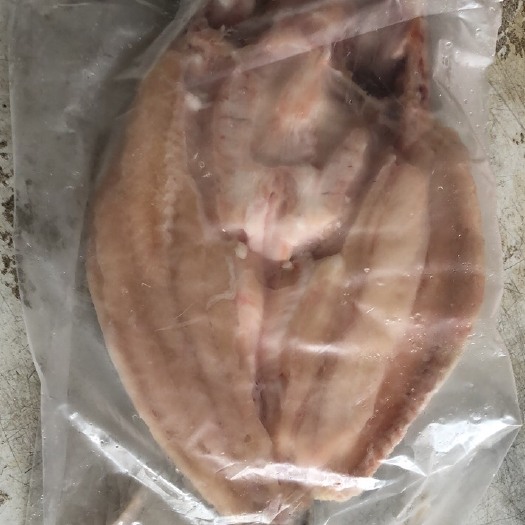 惠州开背巴沙鱼 湄公鱼 凌波鱼