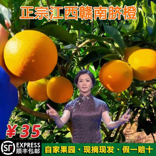 宁都县正宗江西赣南脐橙，自家果园，现摘新鲜顺丰包邮直达，量大价更优