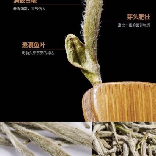安溪县 福鼎白茶新茶白豪银针礼盒装