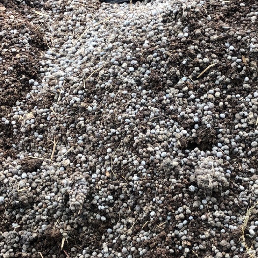 汤阴县 散装兔粪大量出售