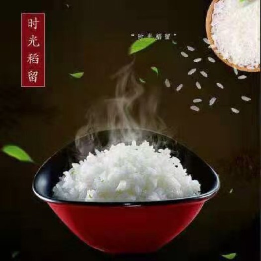 杭州胚芽米  佳香鲜米5斤装带胚芽的大米宝宝孕妇非常爱吃的大米老