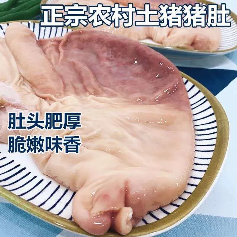 新鲜猪肚子土猪肚黑猪肚土猪肉猪胃生鲜猪肉内脏生肚生冷冻猪肚