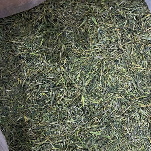 黄山黄山绿茶 2021年春茶预售