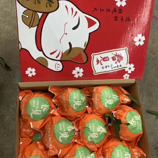 丹棱县耙耙柑 精品礼盒