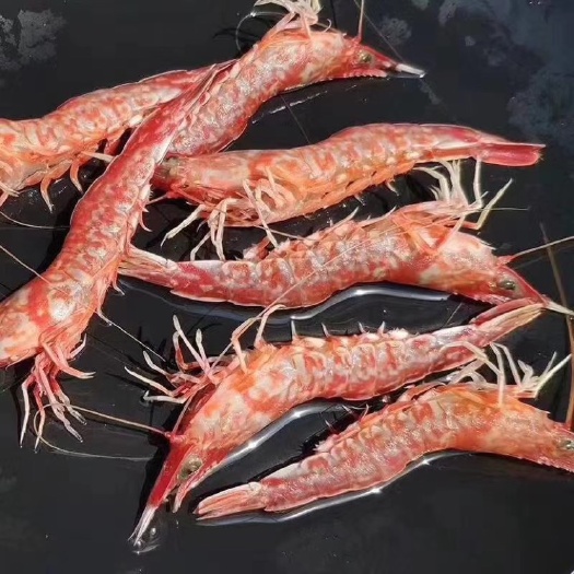 东山县 一件代发，东山岛樱花虾