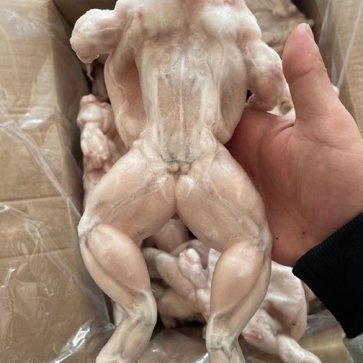 连云港新鲜速冻牛蛙肉免处理牛蛙腿田鸡肉美味鲜活牛蛙冷冻牛蛙干冰牛蛙