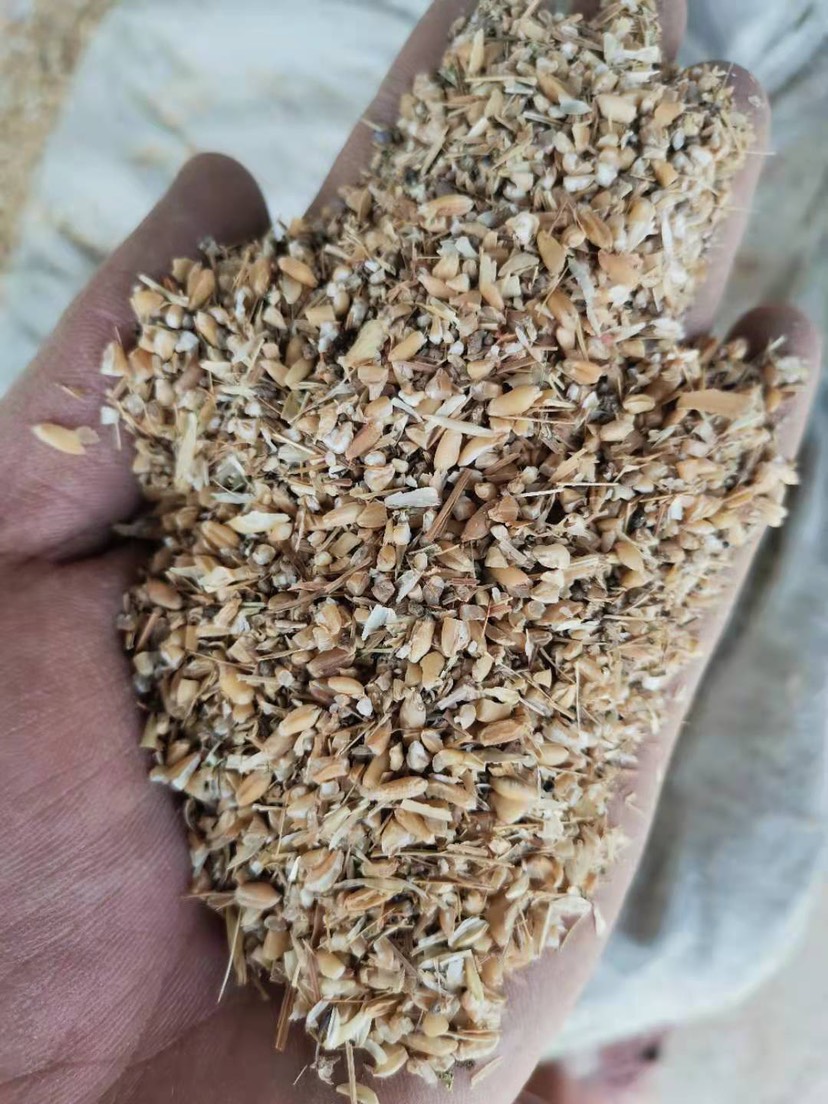 混合小麦 小麦下脚料,适合鸡鸭鹅牛羊养殖客户使用.