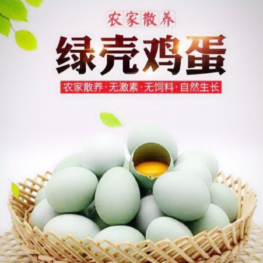天津绿壳蛋  绿壳鸡蛋  农家正宗 纯鲜鸡蛋 产地天津蓟县不散黄营养丰富