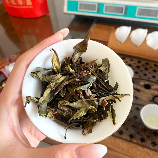 饶平县岭头单丛 凤凰单丛鸭屎香茶头好喝韵味足