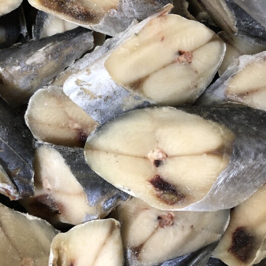 马鲛鱼片鲅鱼块马鲛鱼块去头去尾食堂专用新鲜鲅鱼马鲛鱼块燕尾鲅