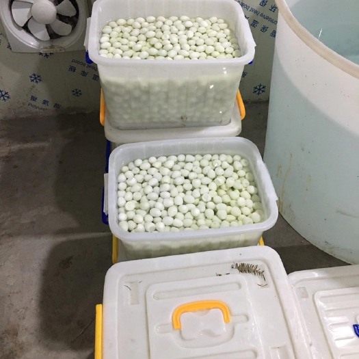 重庆市鸡蛋 鸭蛋 鹌鹑蛋 皮蛋 盐蛋  等等