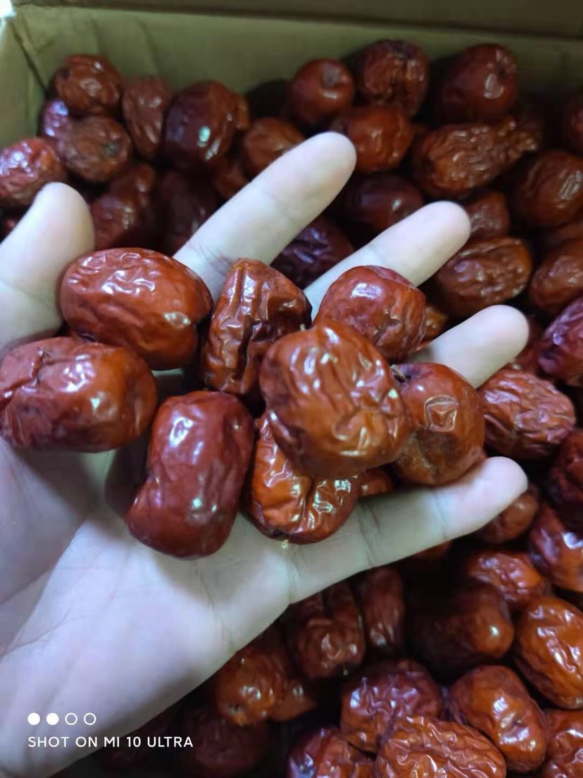 牛羊饲料 饲料红枣