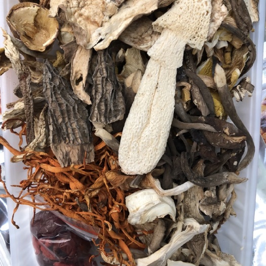 汤料  黄牛肝菌  野生菌汤  菌包 私人订制 代包装