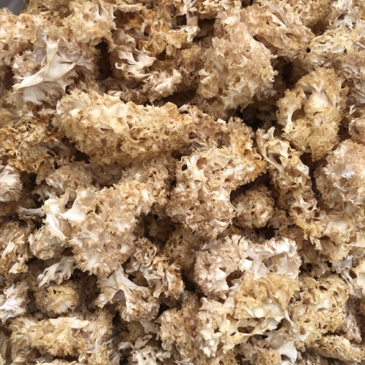 绣球菌 食用菌干货 酒店火锅店直供 场地批发