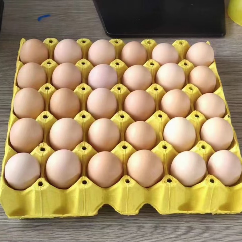 粉壳蛋 优质粉蛋,红蛋 基地直发 常年大量供应 欢迎订购价格147元箱 