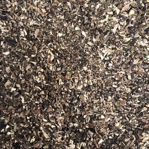 昆明 野生黄牛肝菌 黑牛肝菌 美味牛肝菌碎片 酒店火锅底店熬汤料